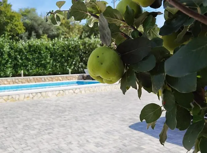 Beciri דירה