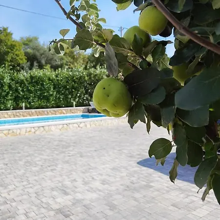 Beciri Διαμέρισμα